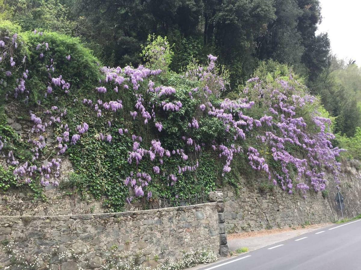 شقة La Piccola Oasi Toscana باني دي لوكا المظهر الخارجي الصورة